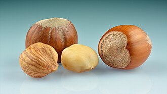 Willamette Valley Oven-Toasted Hazelnuts