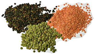 French Green Du Puy Style Heritage Lentils