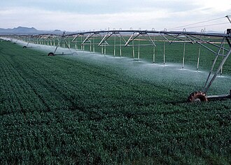 Farm-to-Pantry Logistics: Preserving Cold-Chain Integrity and Nutrient Retention Across America